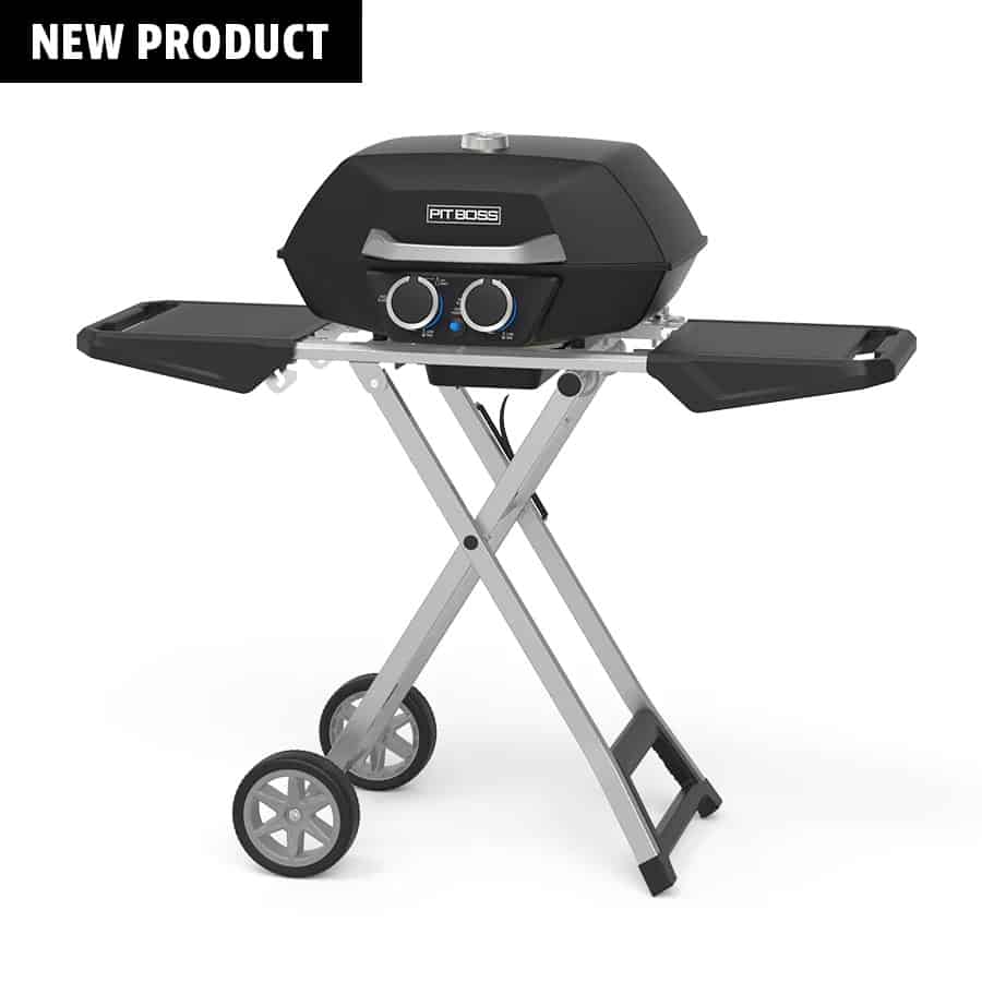 PIT BOSS 2-BURNER PORTABLE GAS GRILL stock photo