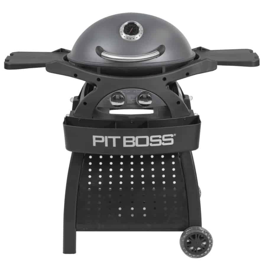 Pit Boss Sportsman Portable 2 Burner Gas Grill stock photo